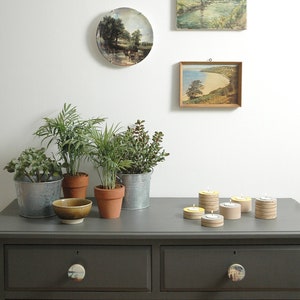 May include: A dark grey dresser with four drawers and decorative knobs featuring nature scenes. The dresser is topped with potted plants, framed artwork, and candles.