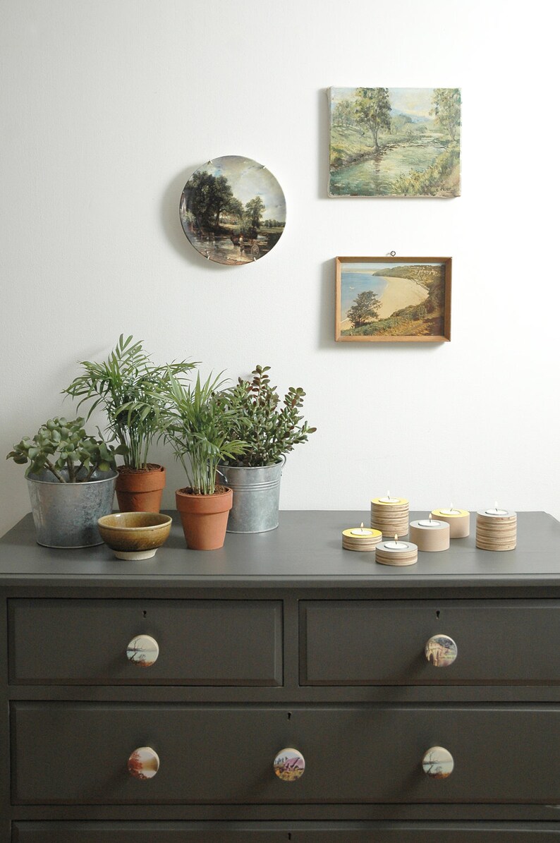 May include: A dark grey dresser with four drawers and decorative knobs featuring nature scenes. The dresser is topped with potted plants, framed artwork, and candles.