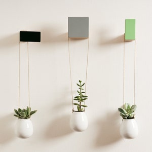 Wooden wall hooks, square design, plain colours