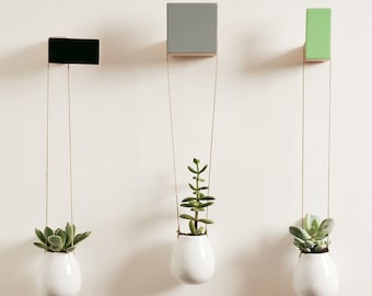 Wooden wall hooks, square design, plain colours