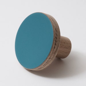 以下が含まれることがあります： 丸い木製の壁掛けフックで、上面は平らで、円筒形のベースが付いています。色はターコイズブルーです。