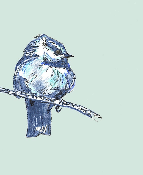 Art Doiseau Oiseau Decor Dessin Doiseau Oiseau Bleu Neuf Décoration Murale Oiseau