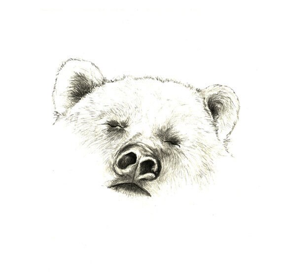 Ours Dessin Ours Ours En Art Decor Impression Du Dessin Etsy Ours Dessin Ours Ours En Art Decor Impression Du Dessin Etsy