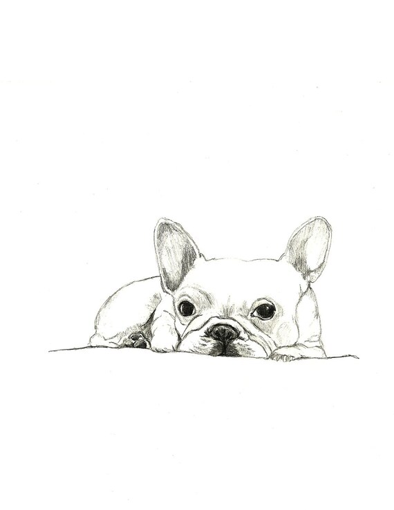 french bulldog art