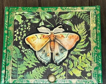 Garden Moth Serenity Box