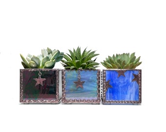 Gift Set of 3 Stained Glass Mini Plant Holders in Copper with a Star Motif