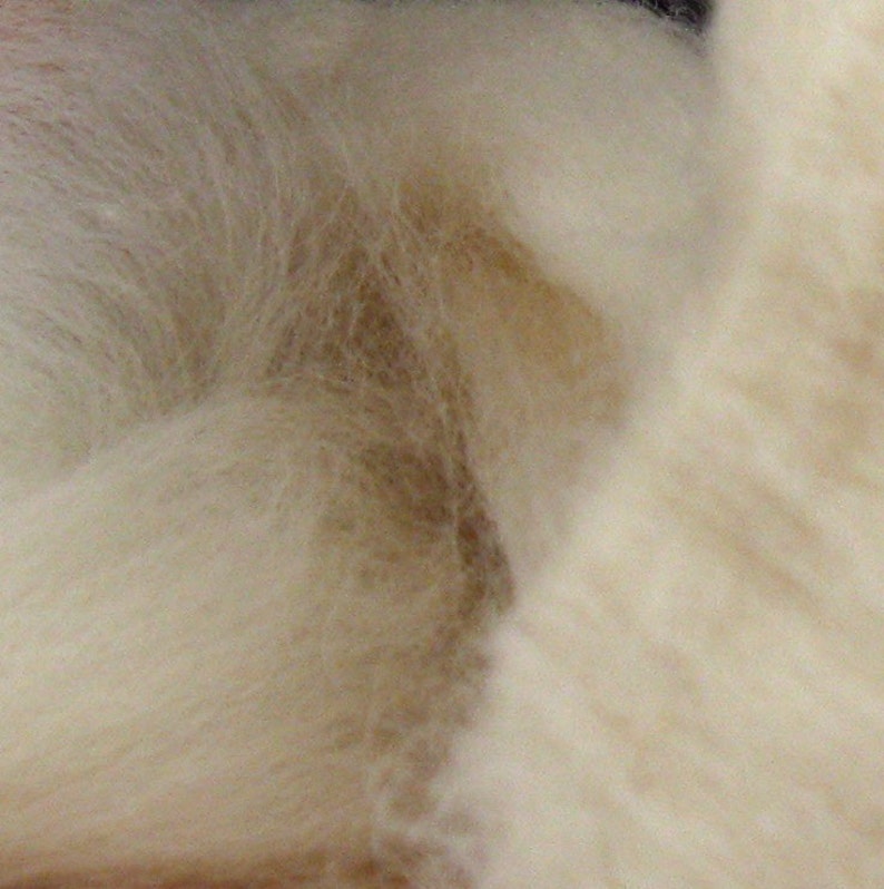 Ecru/Undyed/Natural Wensleydale wool roving combed top Etsy