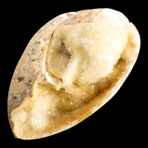 Spiralite fossil with druzy quartz, natural chalcedony shell geode, fossil specimen from india, rare crystallised fossil for collectors