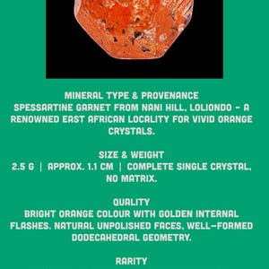 Natural orange spessartine garnet crystal from tanzania, raw garnet specimen for collectors, vivid orange mineral for display image 9