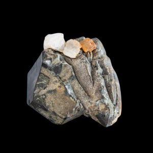 Quarzo fumé alpino svizzero con calcite, raro cristallo naturale su matrice, esemplare da collezione di quarzo scuro, esposizione di cristalli euedrici