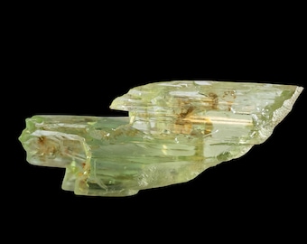 Grüner Hidenit Kristall aus North Carolina natürlicher roher Spodumen mit glasartigem Glanz und Transparenz, seltenes Sammlermineral