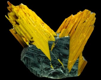 Rutile doré sur cristal d'hématite, amas de rutile naturel, spécimen minéral brut pour collectionneurs, présentation miniature