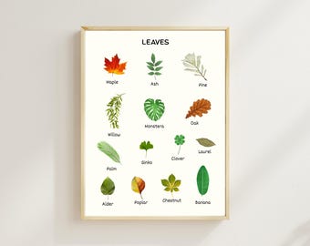 Educational Leaf Names Poster – Montessori Classroom Decor, Botanical Nature Print, Kids Wall Art, Digital Download