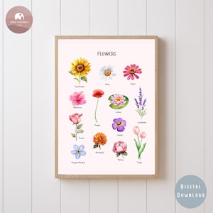 Póster de flores imprimible para niños: arte floral educativo para pared con nombres botánicos en tonos pastel, decoración para habitación infantil, descarga digital