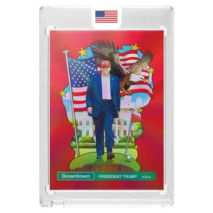 Custom President Donald Trump MAGA Red Prizm Holographic Downtown Style USA Novelty Sports Trading Card Read Description