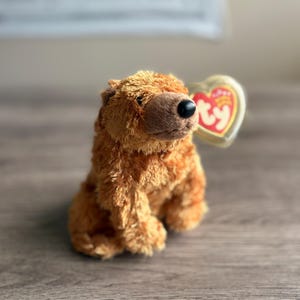 Ty Beanie Baby/Babies SEQUOIA Grizzly Bear 2001 Excellent Condition