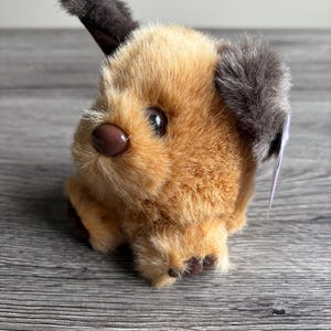 Peut inclure: Un jouet en peluche en forme de chien avec une fourrure beige, des oreilles marron foncé et un nez marron. Le chien a une expression amicale et est assis sur une surface en bois. Le jouet est conçu pour ressembler à un chiot.