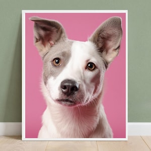 May include: A framed portrait of a dog with a white and gray coat, set against a vibrant pink background. The dog has alert, brown eyes and large, upright ears. The image is well-lit, highlighting the dog's features.