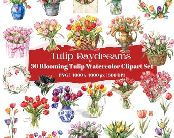 Tulip Valentine aquarel clipart, 30 romantische bloemen png's, lente bruiloft boeket illustraties, liefdesbrief tulp arrangementen