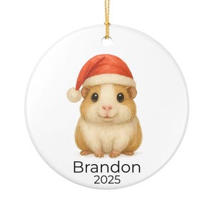 Personalized Baby Guinea Pig Christmas Ornament - Cute Pet Holiday Decoration - Custom Name & Year Gift for Guinea Pig Lovers