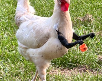 Brasserie de poulet Mother Clucker's Trick Or Treat, un incontournable pour votre troupeau