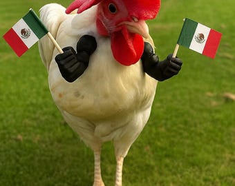 Viva México Chicken Arms | Hilarious Chicken Accessory, Mexican Flag Decor