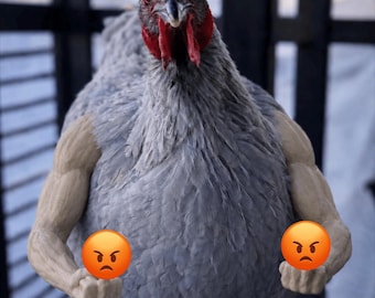 Middle Finger Bad Boy Chicken Arms Add some Attitude to the flock!!!!