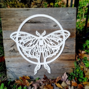 Luna Moth and Moon Reclaimed Wood and Metal Wall Art, Weathered Wood Wall Art, Luna Month Wall Decor, Butterfly Wall Art, Cottagecore Decor image 1