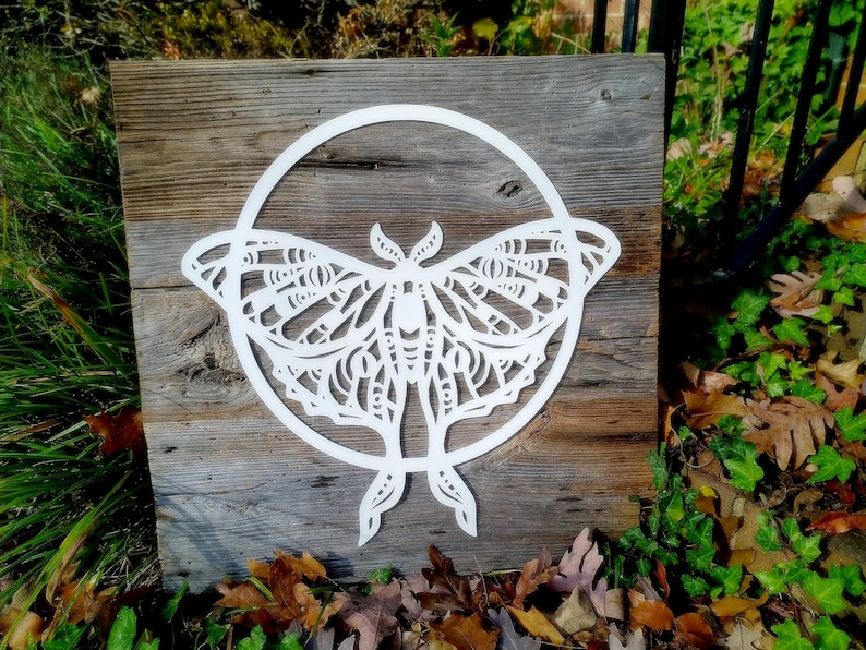 Luna Moth and Moon Reclaimed Wood and Metal Wall Art, Weathered Wood Wall Art, Luna Month Wall Decor, Butterfly Wall Art, Cottagecore Decor image 1