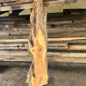 Live Edge Cedar Slabs, DIY Wood Crafting Slabs, Solid Wood Slabs, Red Cedar Slab, Live Edge Slabs, DIY Woodworking Slabs, Natural Raw Edge image 3