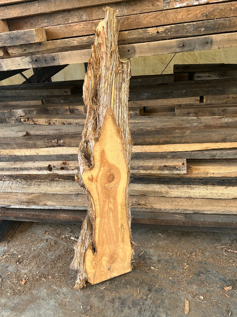 Live Edge Cedar Slabs, DIY Wood Crafting Slabs, Solid Wood Slabs, Red Cedar Slab, Live Edge Slabs, DIY Woodworking Slabs, Natural Raw Edge image 3