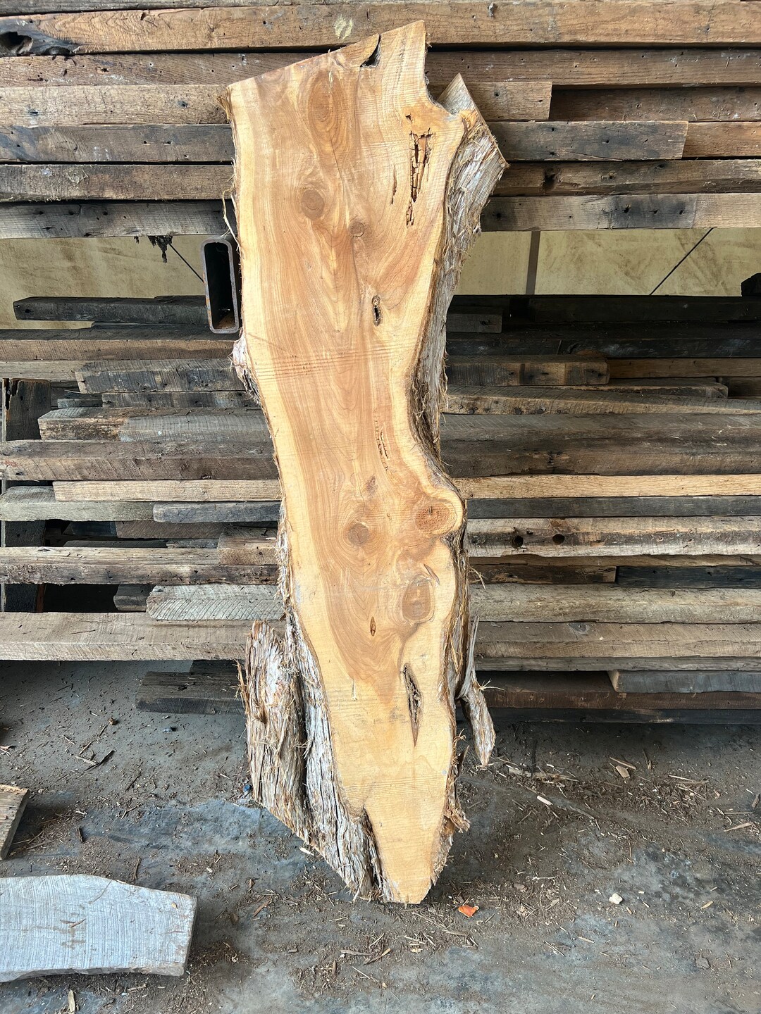 FREE SHIPPING Large Live Edge Wood Slabs, Rough Edge Red Cedar Slab
