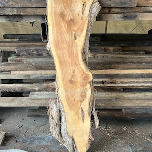 FREE SHIPPING - Large Live Edge Wood Slabs, Rough Edge Red Cedar Slab, Live Edge Slab, Live Edge Crafting Slabs, DIY Cedar Coffee Table Slab