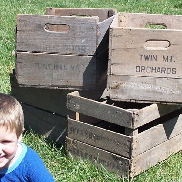 Vintage Antique Apple Crates