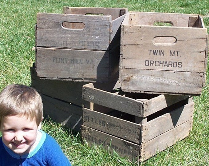 Vintage Antique Apple Crates Etsy