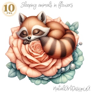 Cute animals sleeping animals mouse fox squirrel raccoon clipart woodland animals png cozy animal illustration animal sublimation design