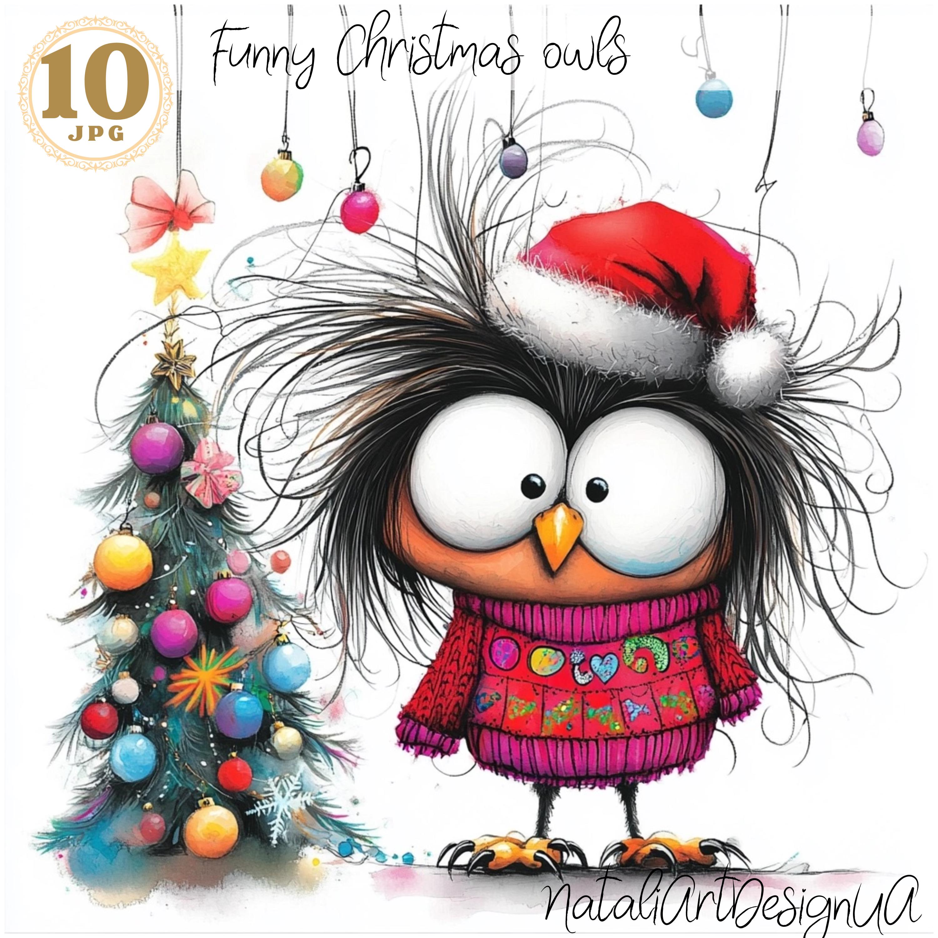 Quirky Christmas owl clipart, 10 JPG funny owl, Christmas card, winter clipart, scrapbooking clipart
