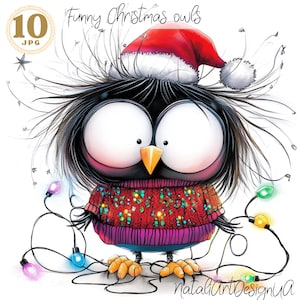 Clipart hibou de Noël décalé 10 JPG hibou drôle carte de Noël hiver cliparts scrapbooking clipart clipart hibou hibou images aquarelle d'hiver