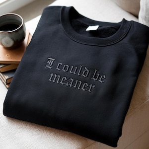 Embroidered I Could Be Meaner Sweatshirt, Sarcastic shirt, Spicy Attitude Tee, Confident Statement Shirt
