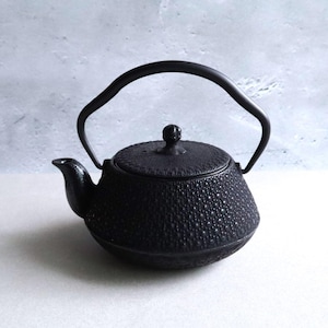 Authentic Japanese Tetsubin – Nambu Tekki Cast Iron Teapot | 0.5L Hexagonal Pattern | Enameled Interior & Infuser