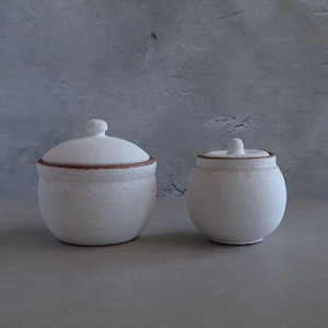 Handmade Shigaraki Ceramic Salt Cellar with Lid: Japanese Artisan Salt Pot