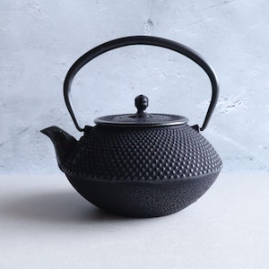 Authentic Nambu Tekki Japanese Cast Iron Teapot – 0.8L/27oz Tetsubin – Enameled Interior – Traditional Arare Pattern – Includes Infuser
