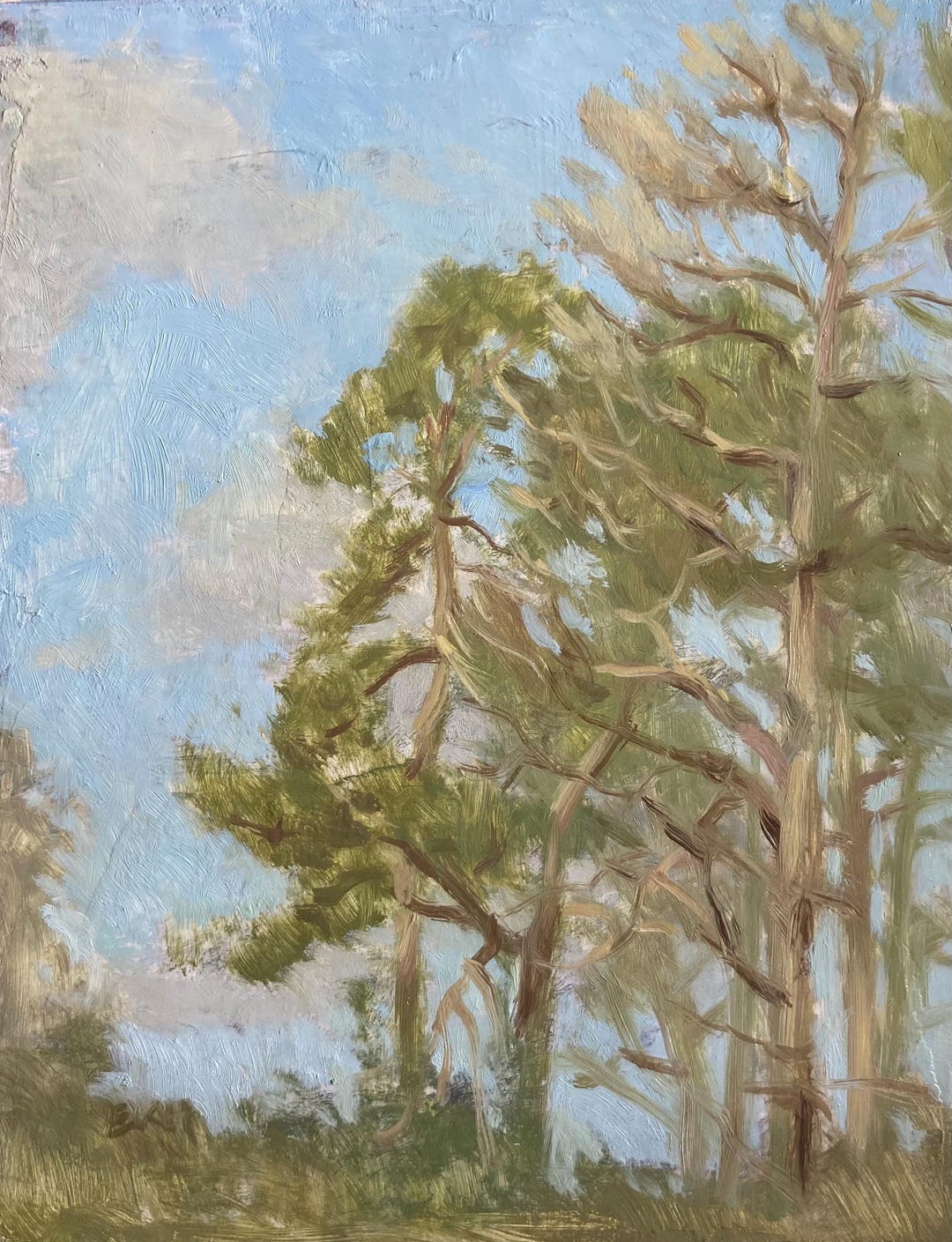 Spring Time Trees Original Oil Painting on Panel, Impressionist ...