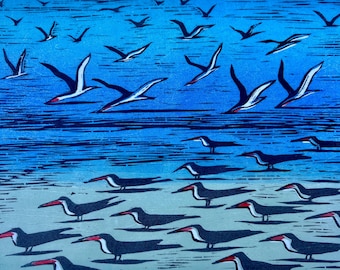 Skimmer Woodblock Print, Beach Bird art, Shorebirds