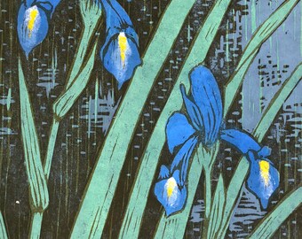 Blue Flag Iris, large woodblock print on handmade paper