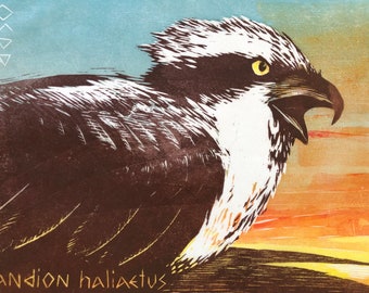 Osprey Portrait Woodblock Print