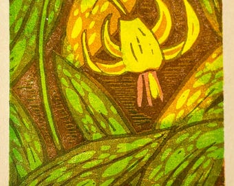 Trout Lily Woodblock Print, Spring Wildflower, Gardener Gift