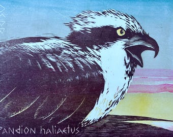 Osprey Woodblock Print, Dawn or Blue Sky, Dramatic Bird Art