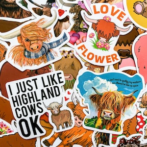 Pu&ograve; includere: Una collezione di adesivi colorati con mucche delle Highlands. Gli adesivi hanno vari design, tra cui una mucca con una sciarpa, una mucca con fiori e una mucca con il testo "Mi piacciono le mucche delle Highlands OK".