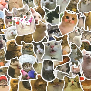 100 stickers mèmes chats mignons aléatoires, vinyles autocollants, autocollants kawaii, autocollants imperméables, autocollants chats rigolos, lot d'autocollants chats pour enfants